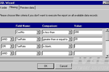 QuickReport预览：The query wizard