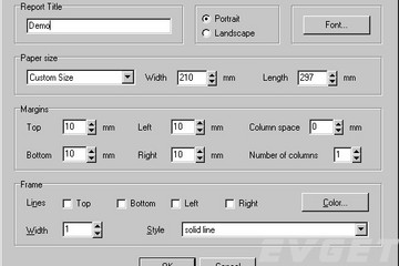 QuickReport预览：The report options dialog