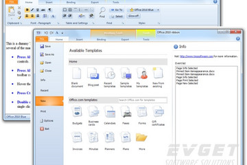 TMS Advanced Toolbars & Menus預覽：Office 2010 ribbon style