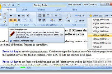 TMS Advanced Toolbars & Menus預覽：Office 2007 ribbon style