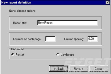 QuickReport预览：Another part of the report expert