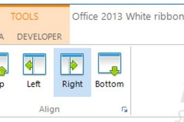 TMS Advanced Toolbars & Menus预览：Office 2013 & Windows 8 ribbon style