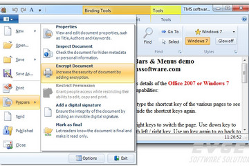 TMS Advanced Toolbars & Menus預覽：Windows 7 scenic ribbon style