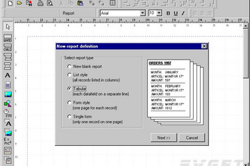 QuickReport预览：Picture of editor with report expert