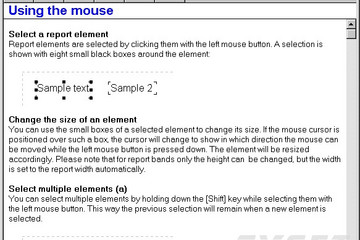 QuickReport预览：Another page from the end user help