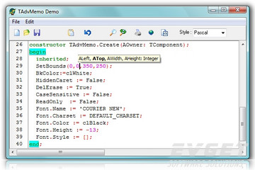 TMS Component Pack预览：TadvMemo