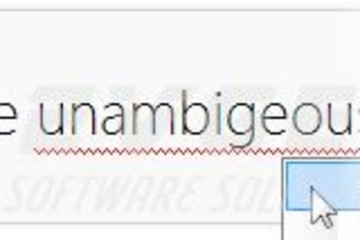 RapidSpell Web Java预览：