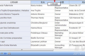 Spread for ASP.NET预览：移动列
