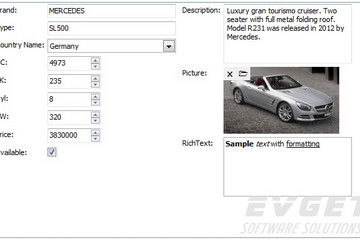 TMS Component Pack預(yù)覽：AdvDBFormPanel