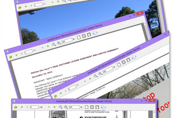 XtremeDocumentStudio Delphi預覽：一個多格式的單瀏覽器
