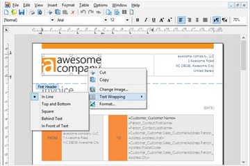 TX Text Control ActiveX预览：标准的 WYSIWYG Word处理过程
