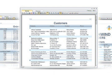SharpShooter Reports.WPF预览：SharpShooter Reports.WPF
