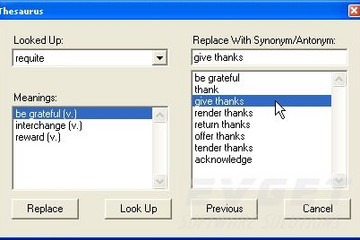 Thesaurus Desktop .NET预览：