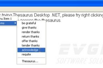 Thesaurus Desktop .NET预览：