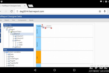 FastReport Online Designer预览：FastReport Online Designer