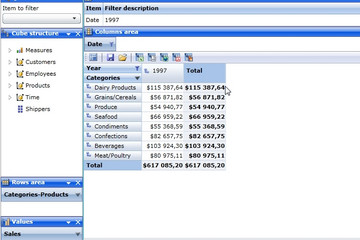 RadarCube ASP.NET MVC预览：RadarCube ASP.NET MVC