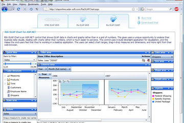 RadarCube ASP.NET MVC预览：RadarCube ASP.NET MVC