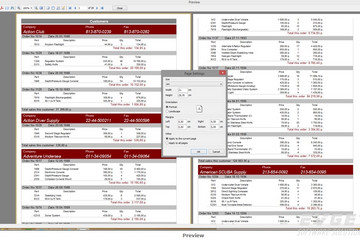 FastReport VCL预览：preview