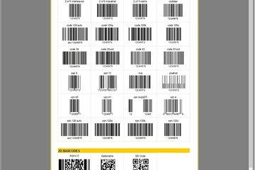 FastReport VCL预览：barcodes