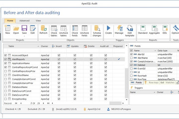 ApexSQL Audit预览：审核前后