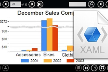 WinRT Viewer for Reporting Services预览：WinRT Viewer for Reporting Services效果预览