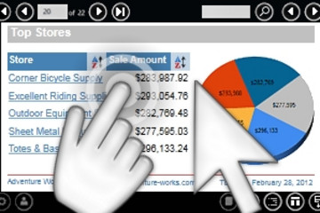 WinRT Viewer for Reporting Services预览：WinRT Viewer for Reporting Services效果预览