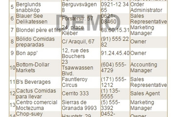 Stimulsoft Reports.Net预览：Two Simple Lists