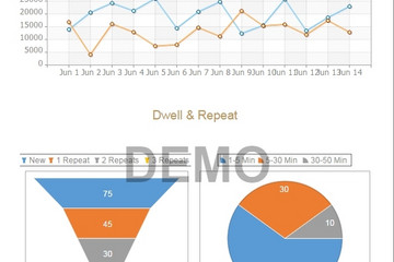 Stimulsoft Reports.Net预览：Site Statistics