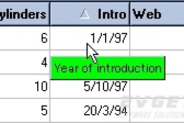 TMS Grid Pack预览：sort