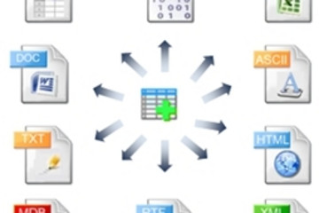 TMS Grid Pack预览：input and output
