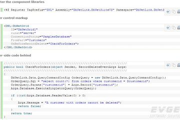 DbNetSuiteVS预览：code