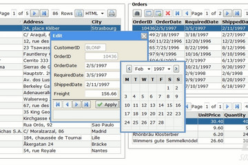 DbNetSuiteVS预览：edit_dialog