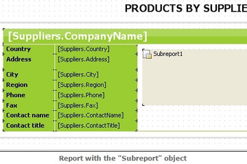 FastReport .Net预览：report with the“subreport”object