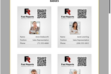 FastReport .Net预览：preview window