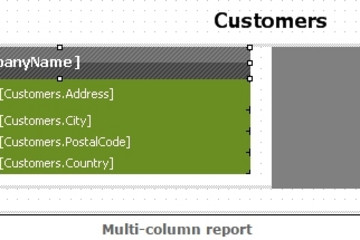 FastReport .Net預(yù)覽：multi-column report