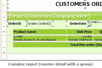 FastReport .Net预览：complex report（master-detail with a group）