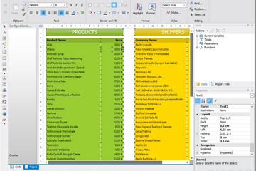FastReport .Net预览：edit the prepared report page