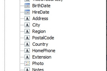FastReport .Net预览：data window