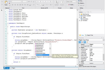 FastReport .Net预览：script in fastreport.Net
