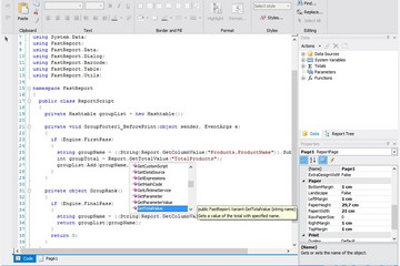 FastReport .Net預(yù)覽：script in fastreport.Net