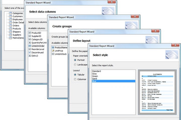 FastReport .Net预览：standard report wizard