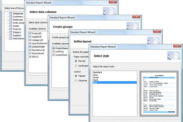 FastReport .Net預(yù)覽：standard report wizard