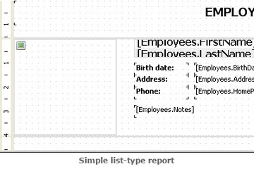 FastReport .Net预览：simple list-type report