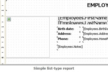 FastReport .Net預(yù)覽：simple list-type report