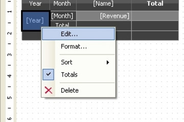 FastReport .Net预览：report with the “matrix” object