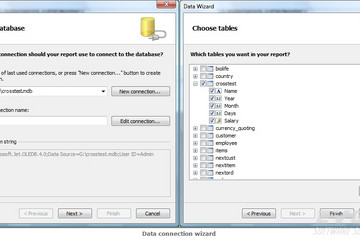 FastReport .Net预览：data connection wizard