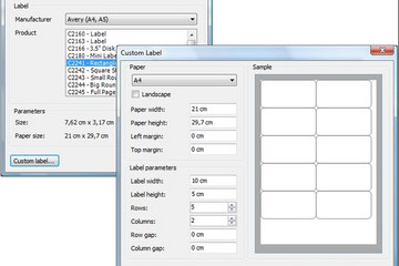 FastReport .Net预览：lable report wizard