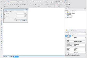 FastReport .Net预览：report with a diagogue form