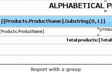 FastReport .Net预览：report with a group