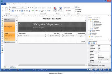 FastReport .Net预览：report designer